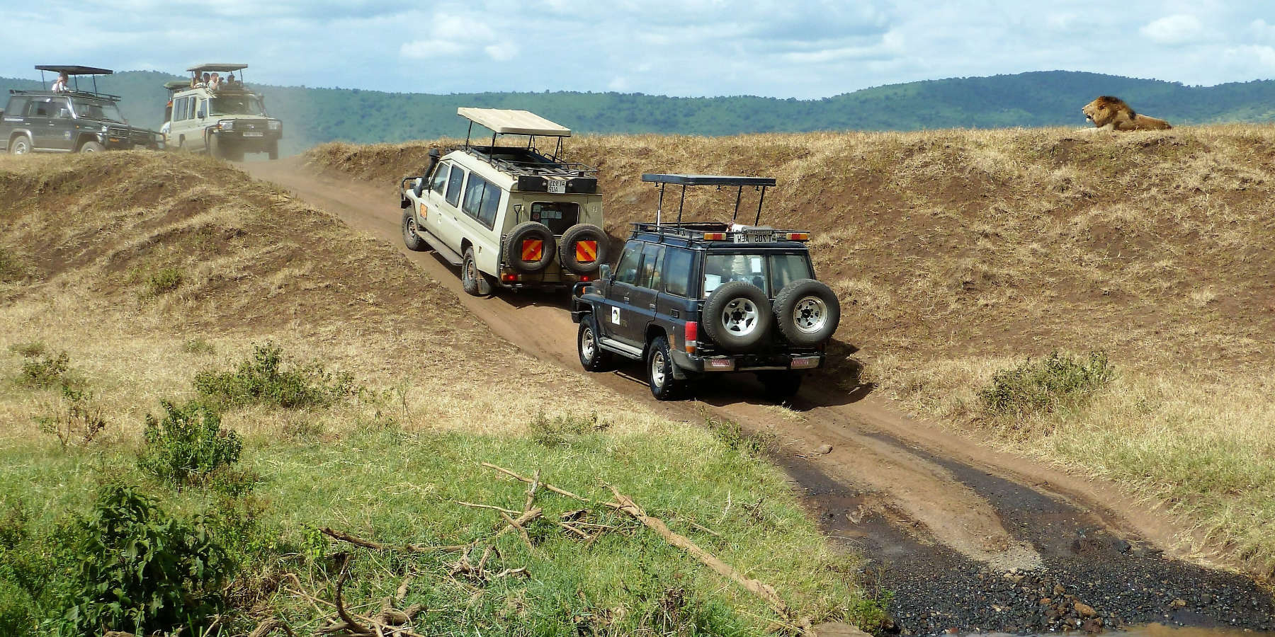 Geländewagen in Afrika neben einem Hügel, auf dem ein Löwe liegt