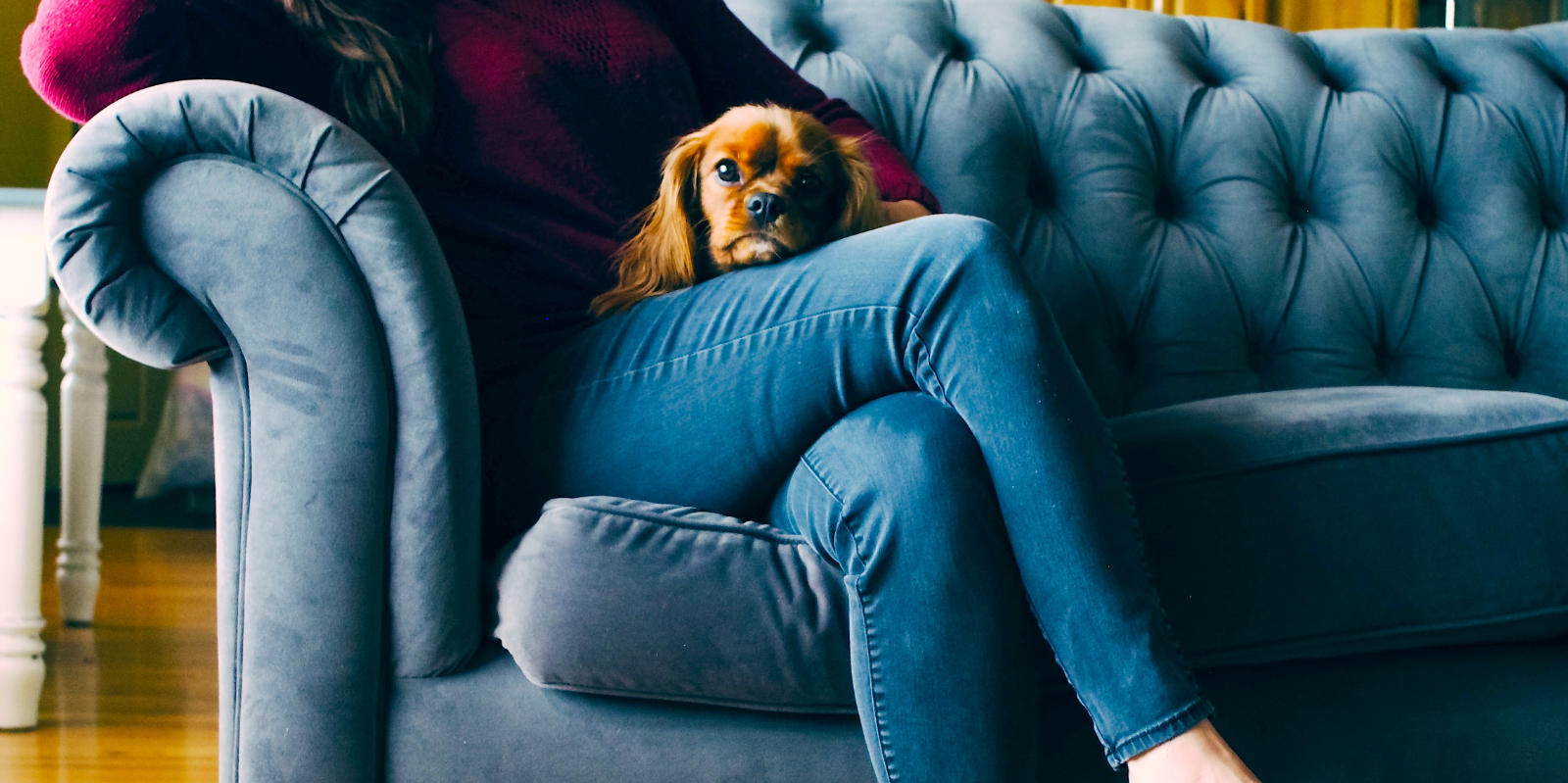 Frau in Jeans sitzt dringend müssend auf einem Sofa und hat einen kleinen Hund auf dem Schoß.